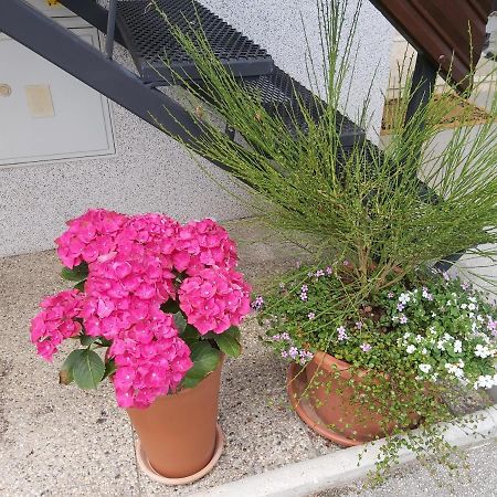 Apartma Arnez Bled Esterno foto