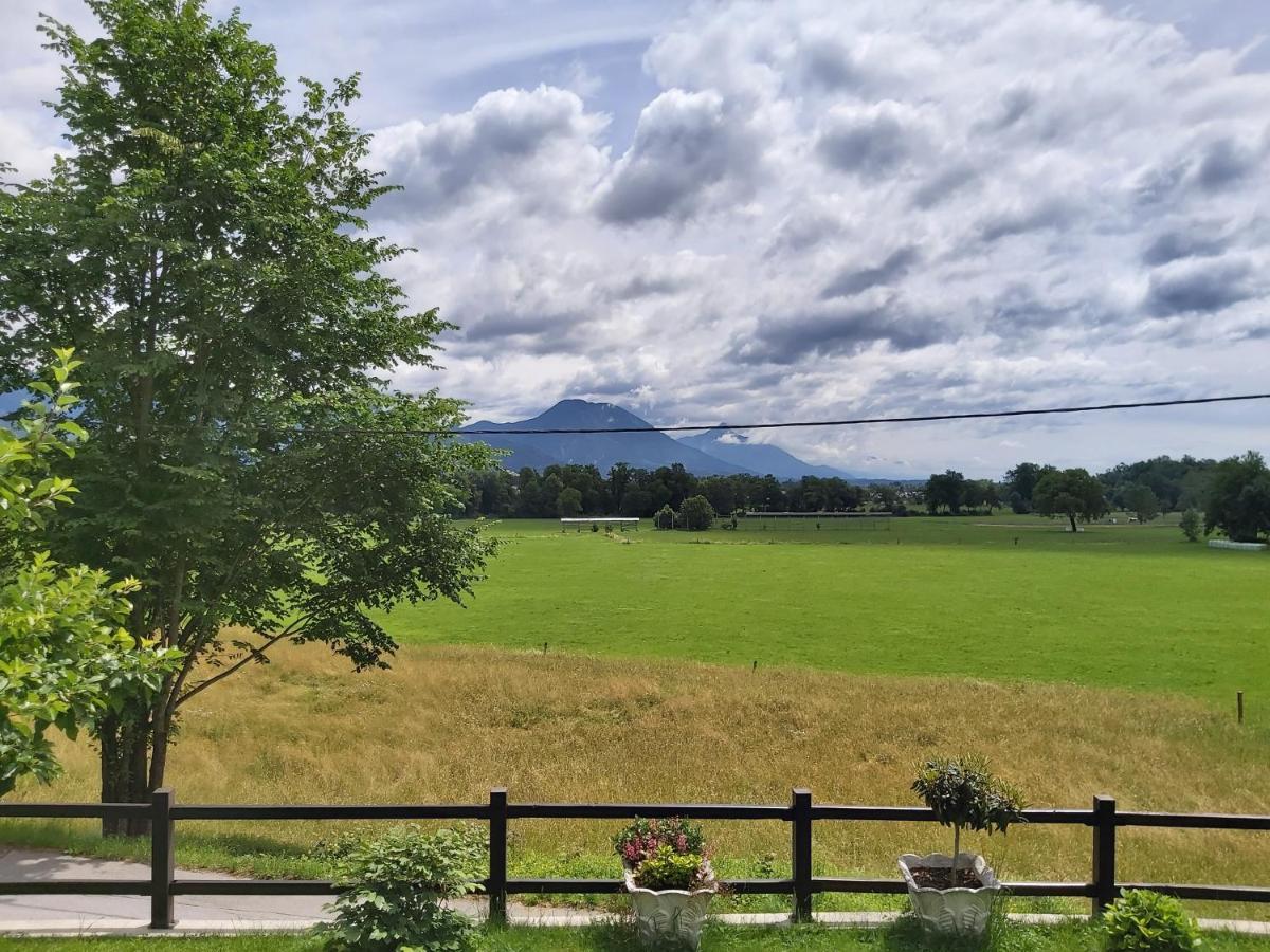 Apartma Arnez Bled Esterno foto