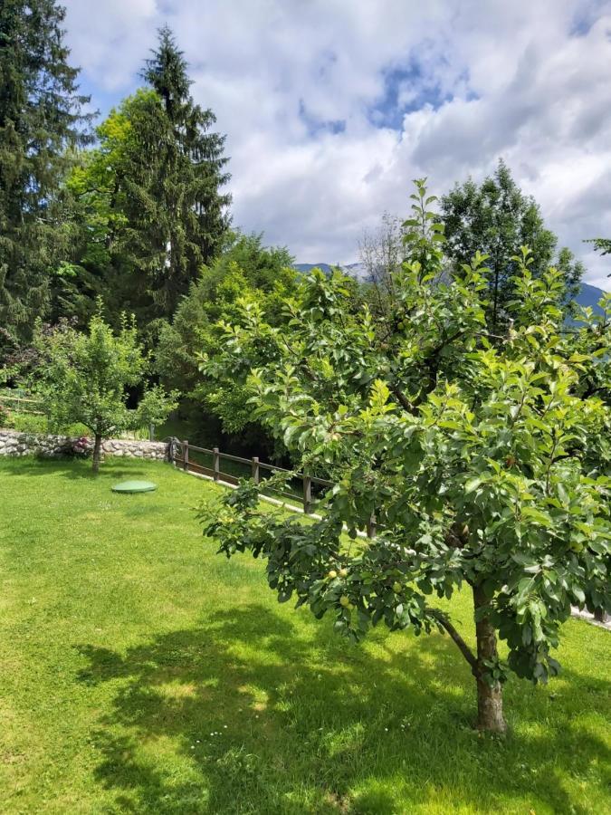Apartma Arnez Bled Esterno foto